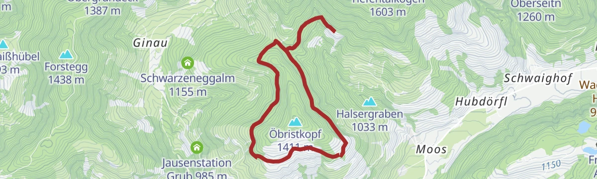 Route map: Rund um das Öbristköpfl / Wagrainer Alm (55,453)